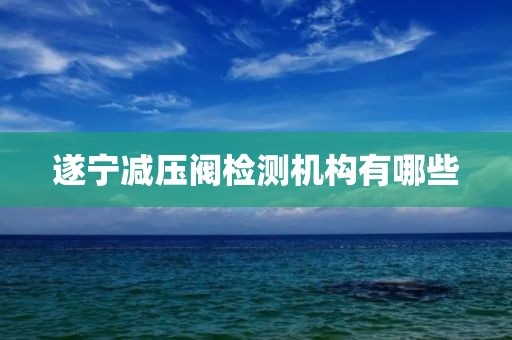 遂宁减压阀检测机构有哪些