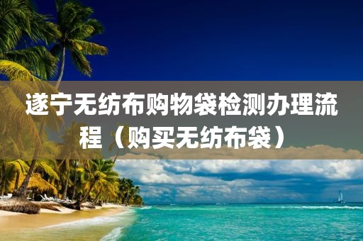 遂宁无纺布购物袋检测办理流程（购买无纺布袋）